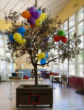 IMG arbre 1_4949.jpeg